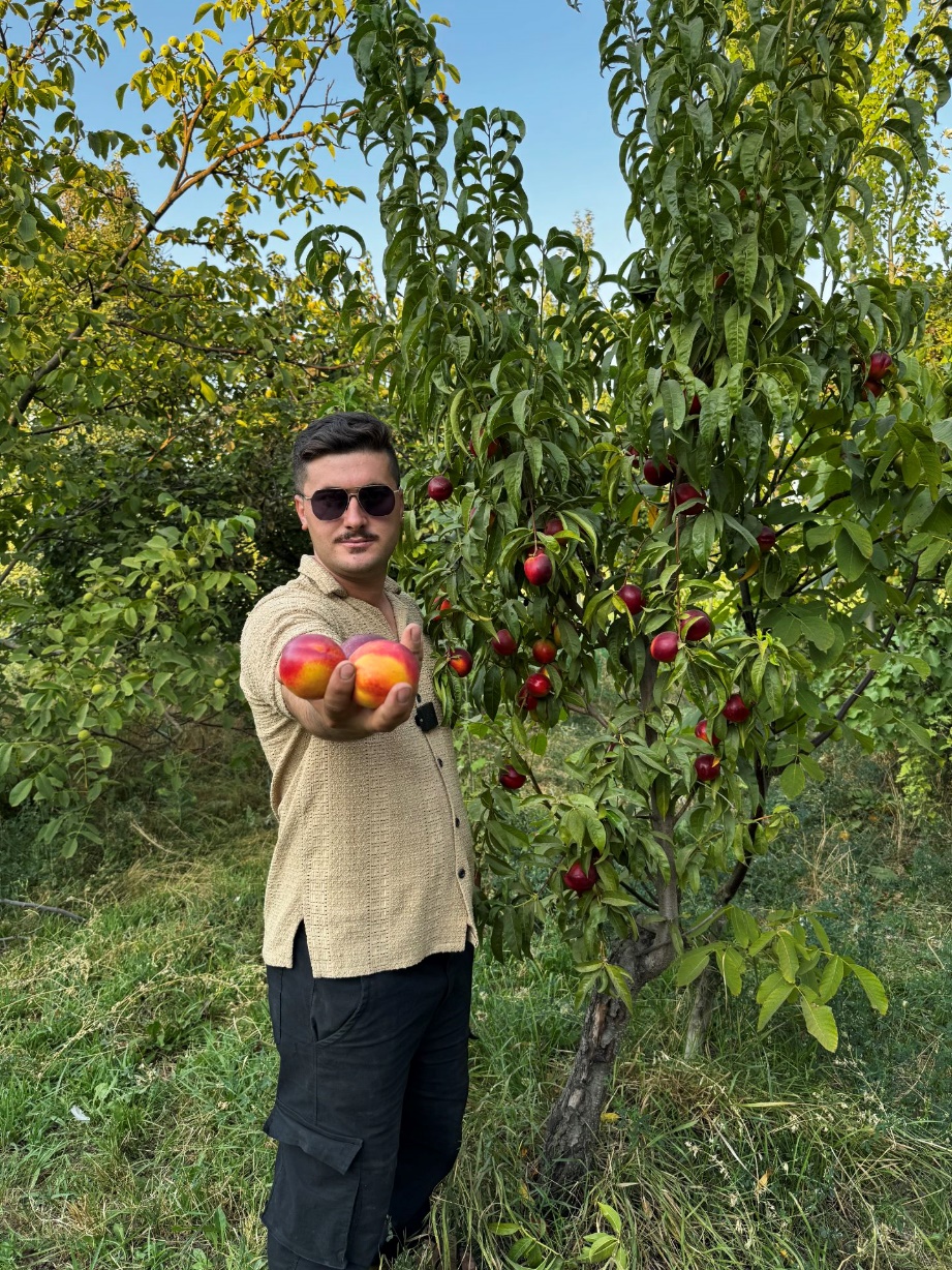 اهمیت انتخاب نهال استاندارد و اصلاحشده در نهالستان غرب نهال